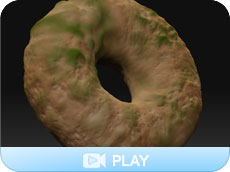 Feature: Moldy Bagel